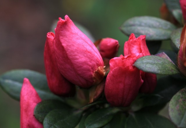 BI0E9043.JPG