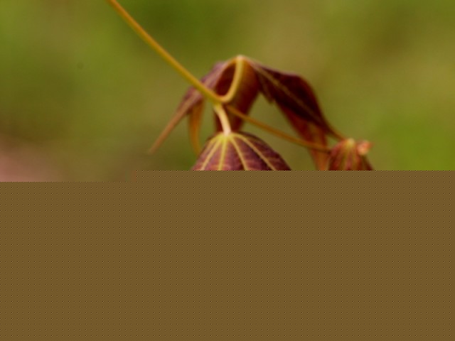 BI0E9059.JPG