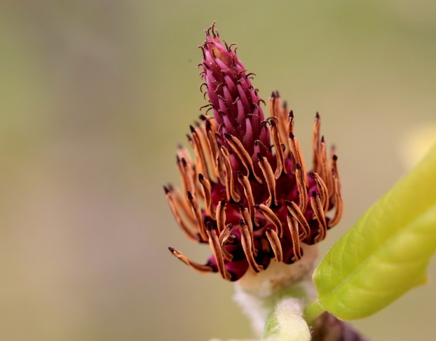 BI0E9076.JPG