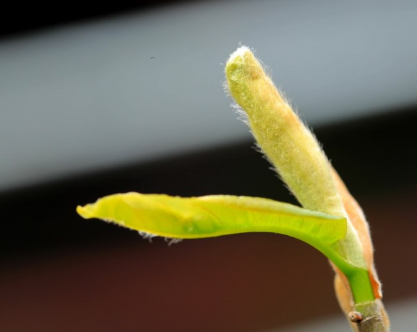 BI0E9079.JPG