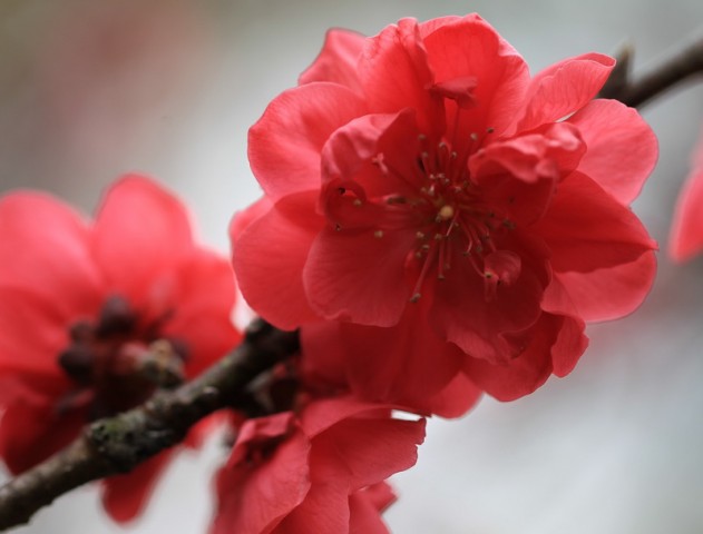 BI0E9090.JPG