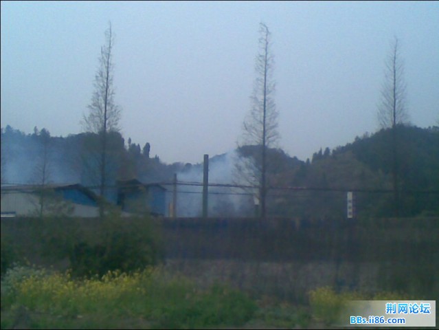 未命名6.jpg