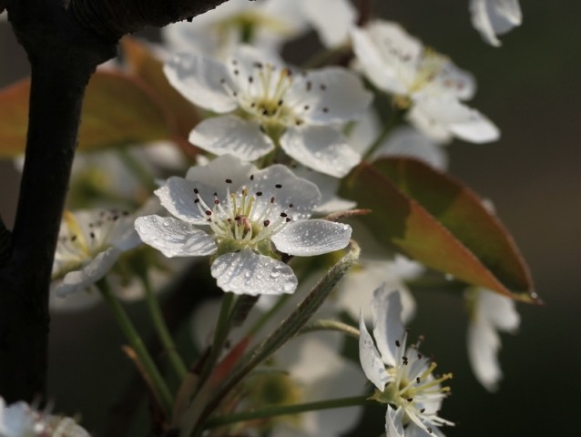 BI0E9193.JPG