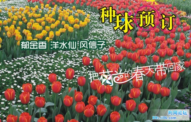 index-01.jpg