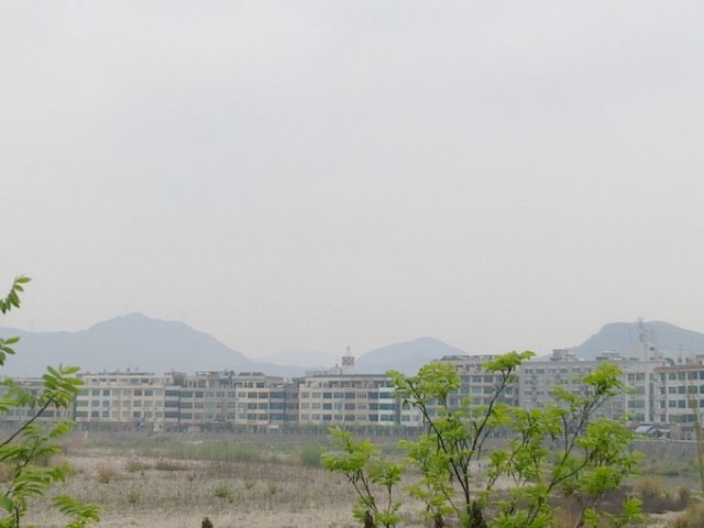 20110408126.jpg