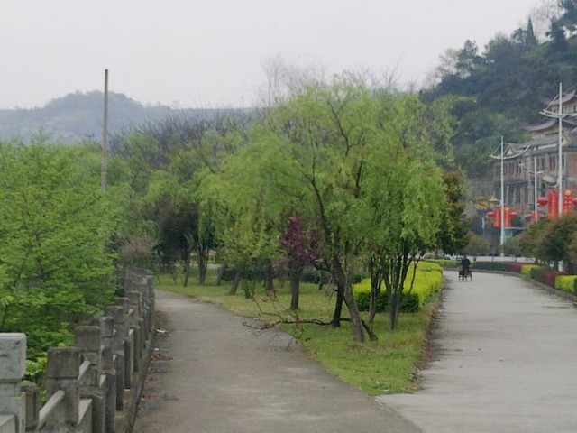 20110408128.jpg