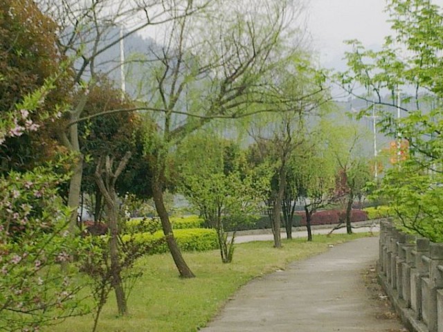 20110408148.jpg