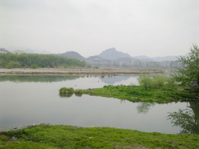 20110408151.jpg