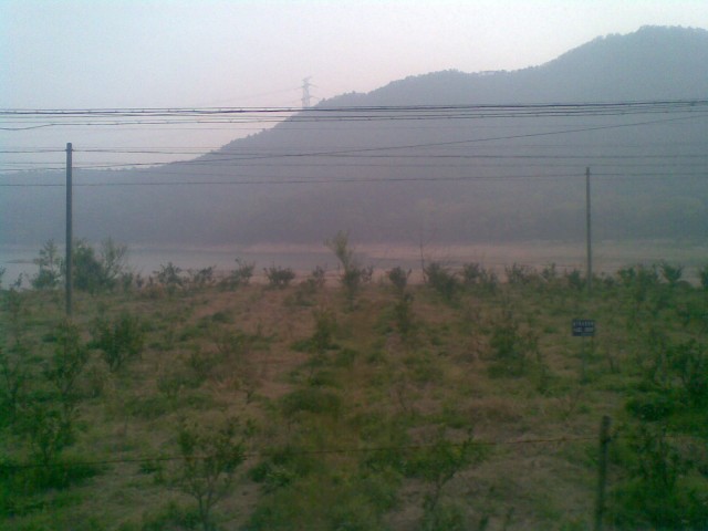20110410(127).jpg