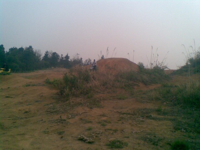 20110410(160).jpg
