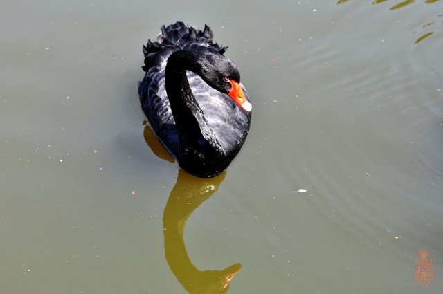 DSC_9673.JPG