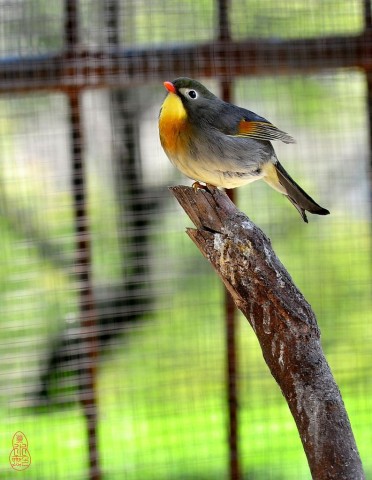 DSC_9734.JPG