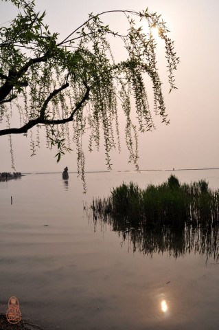 DSC_0206.jpg