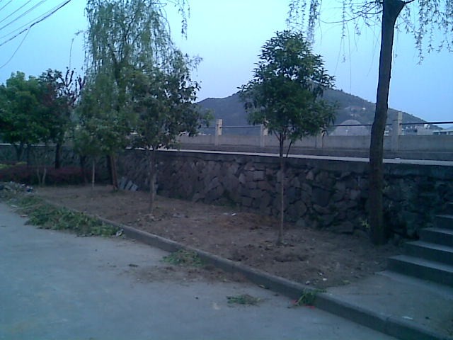 图像007.jpg