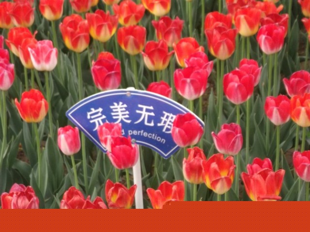 http_imgloadCAC526U9.jpg