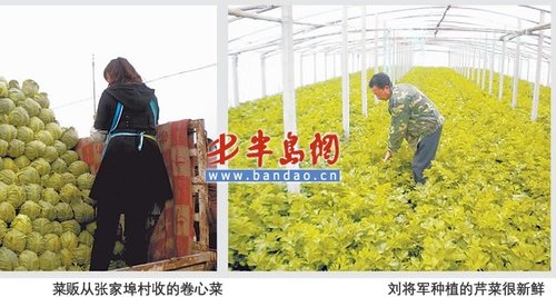 菜.jpg
