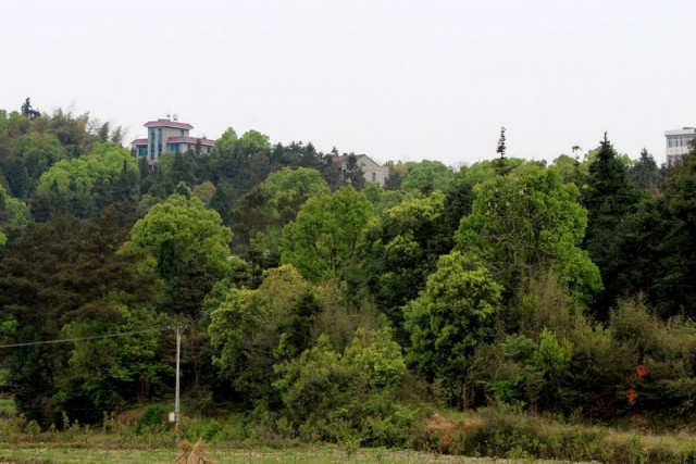 BI0E0127.JPG