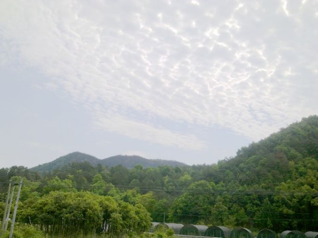 20110421163.jpg