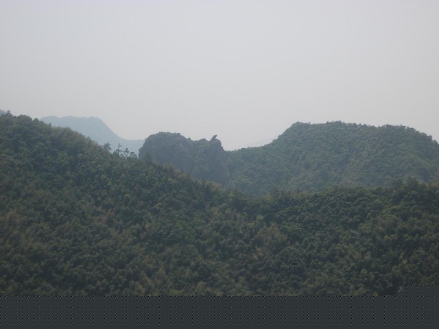 66.JPG