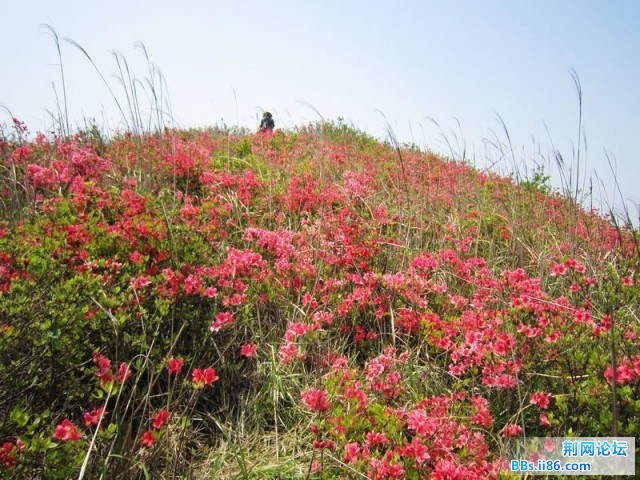 未命名.jpg