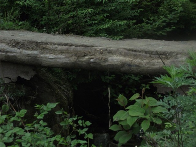 http_imgloadCA871SZO.jpg