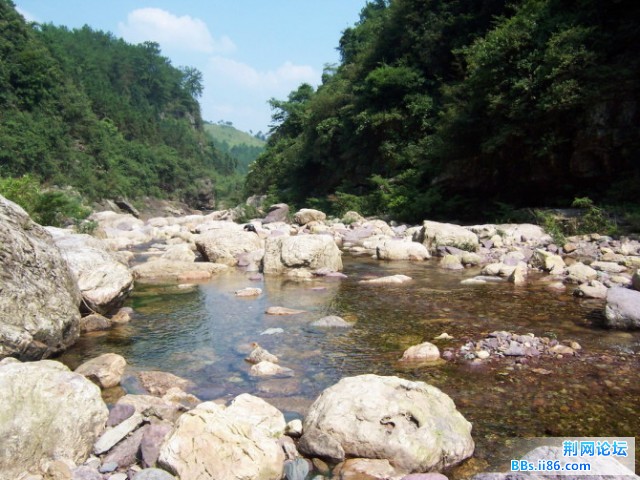 04.jpg