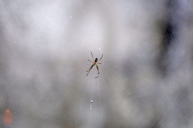 DSC_1128.jpg