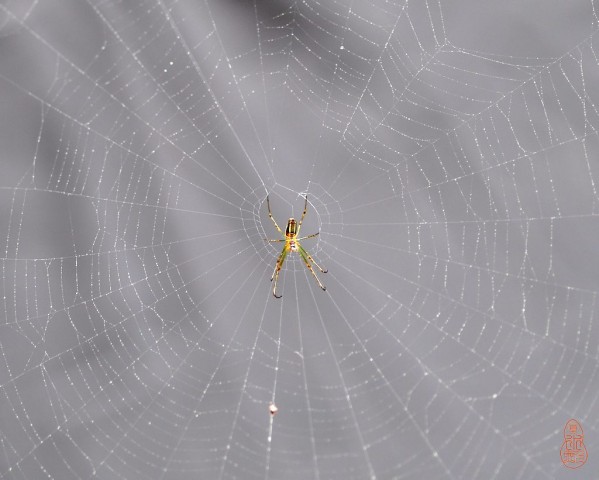 DSC_1130.jpg