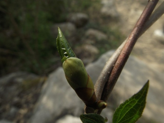 http_imgloadCAUA9DGU.jpg