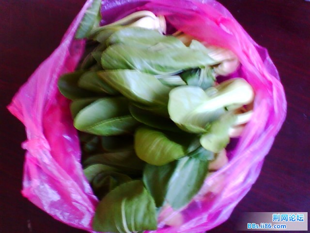 IMG0724A.jpg