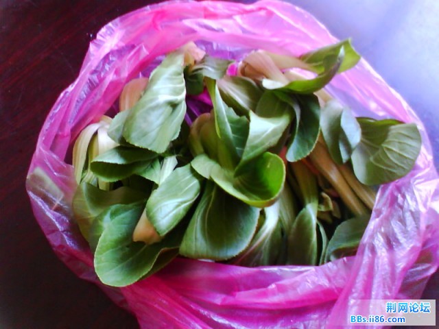 IMG0725A.jpg