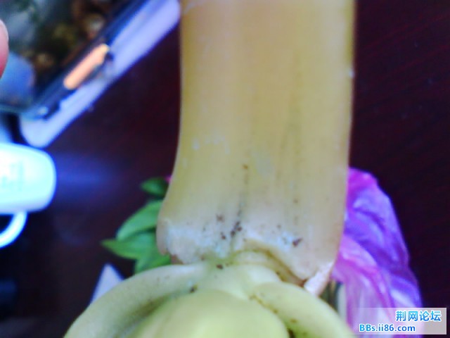 IMG0729A.jpg