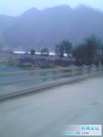 IMG0185A.jpg