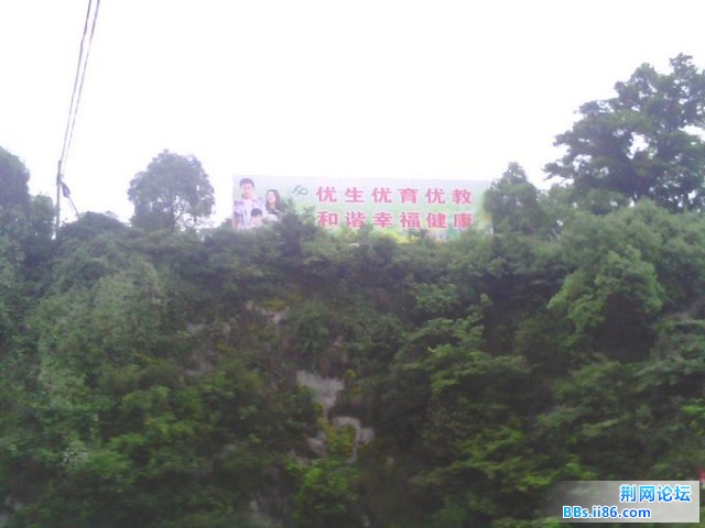 IMG0174A.jpg