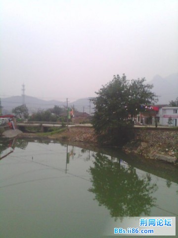 IMG0176A.jpg