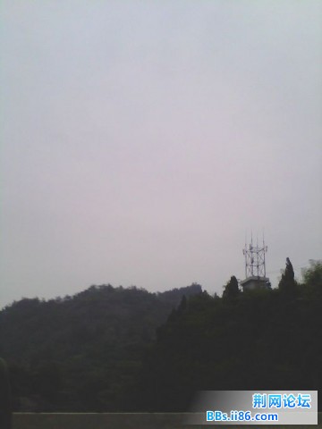 IMG0178A.jpg