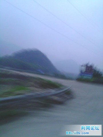 IMG0183A.jpg