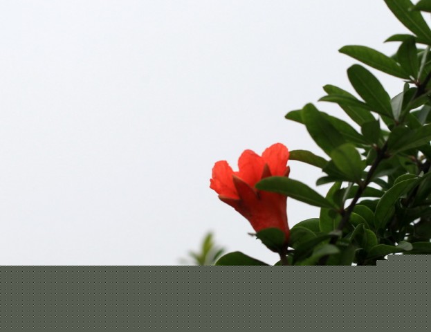 BI0E4353.JPG