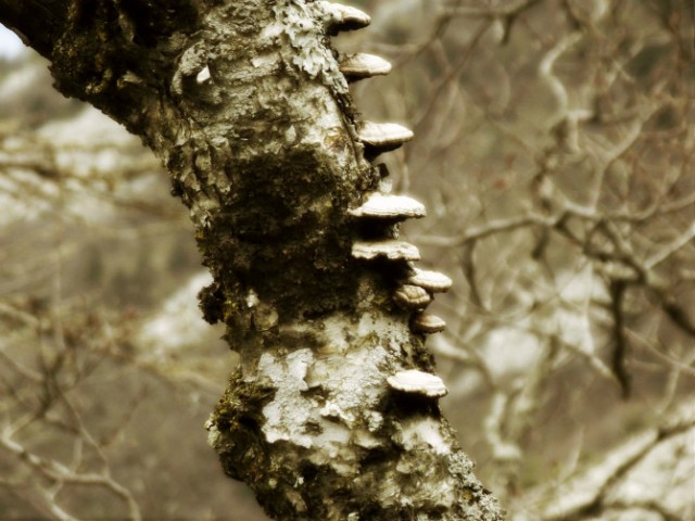 http_imgloadCA27AB9Q.jpg