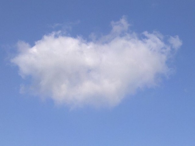 20110518186.jpg
