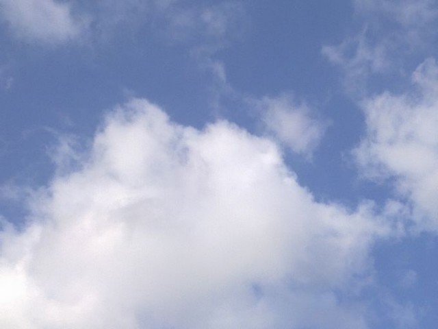 20110518188.jpg