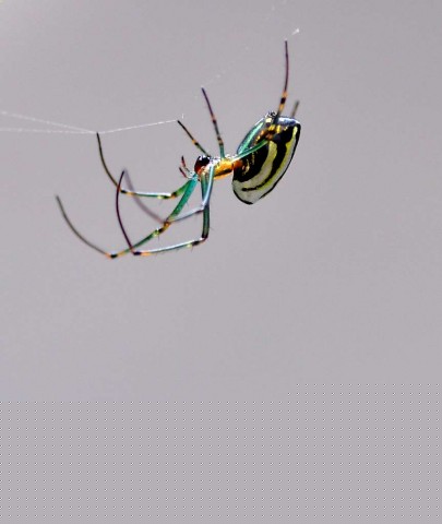 DSC_1275.jpg