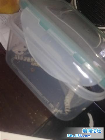 201105191172.jpg