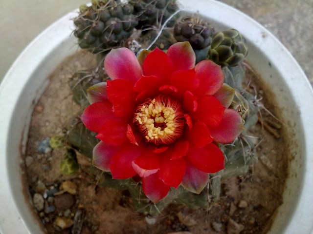 20110520161.jpg
