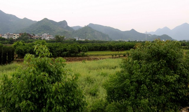 BI0E4331.jpg