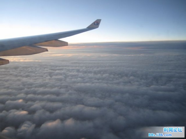 85419.jpg