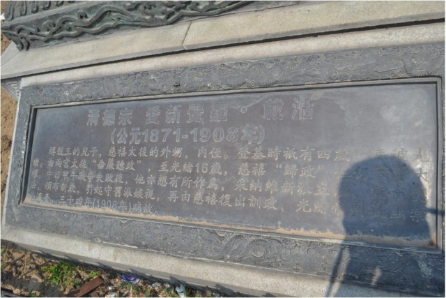 06.jpg