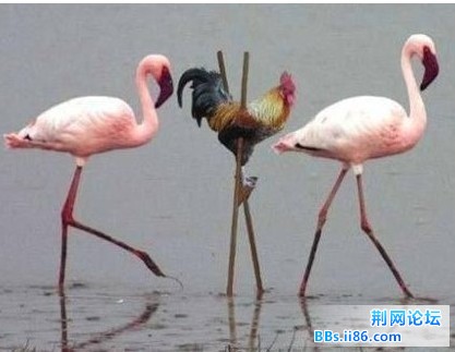 未命名1.jpg