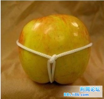 未命名8.jpg
