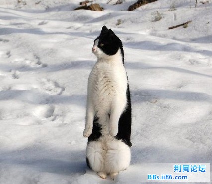 未命名10.jpg